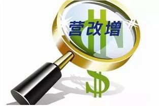寧波保稅區眾創空間舉辦營改增后類金融企業稅收政策專場研討會，助力企業管理優化